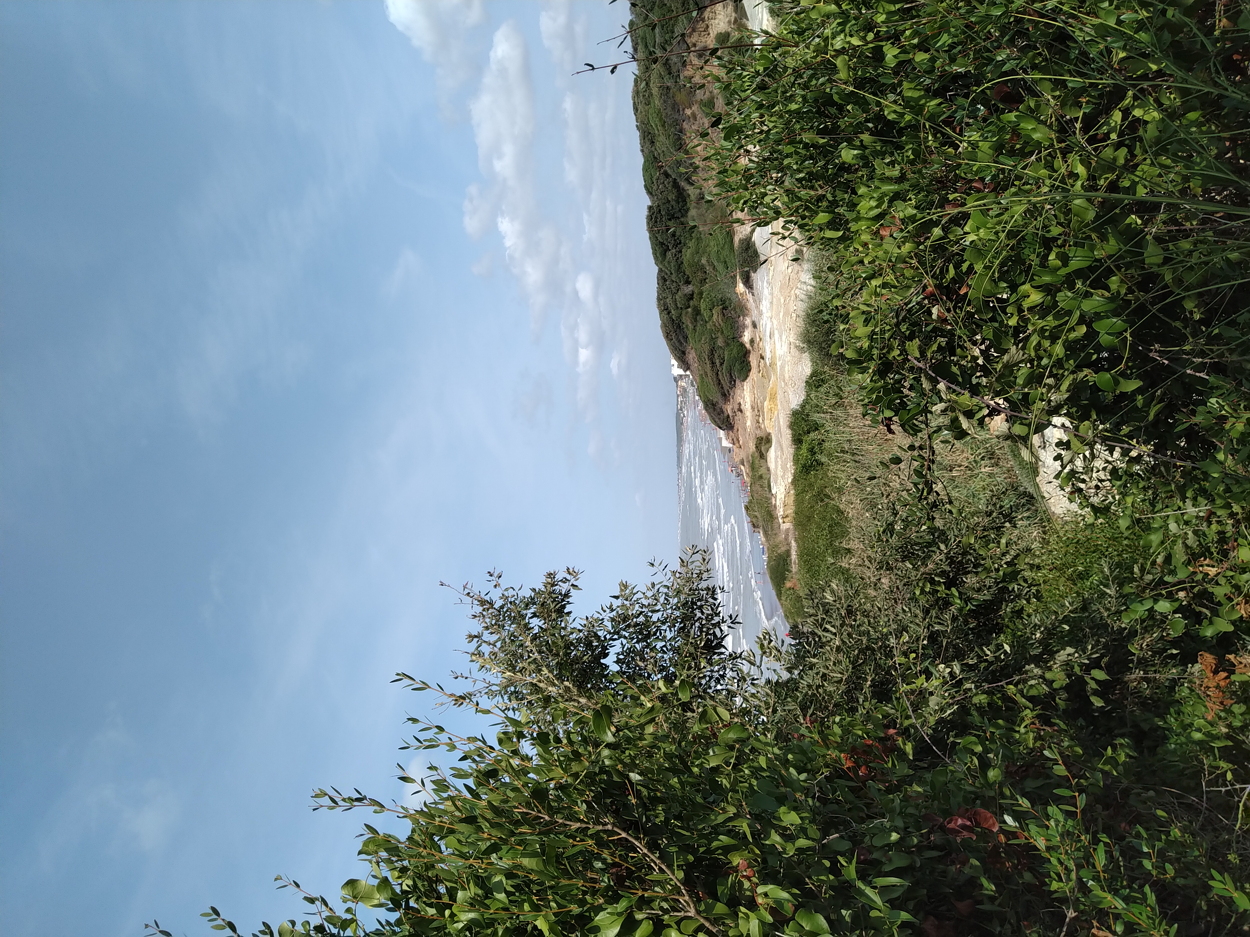 Tor Caldara Oasi WWF