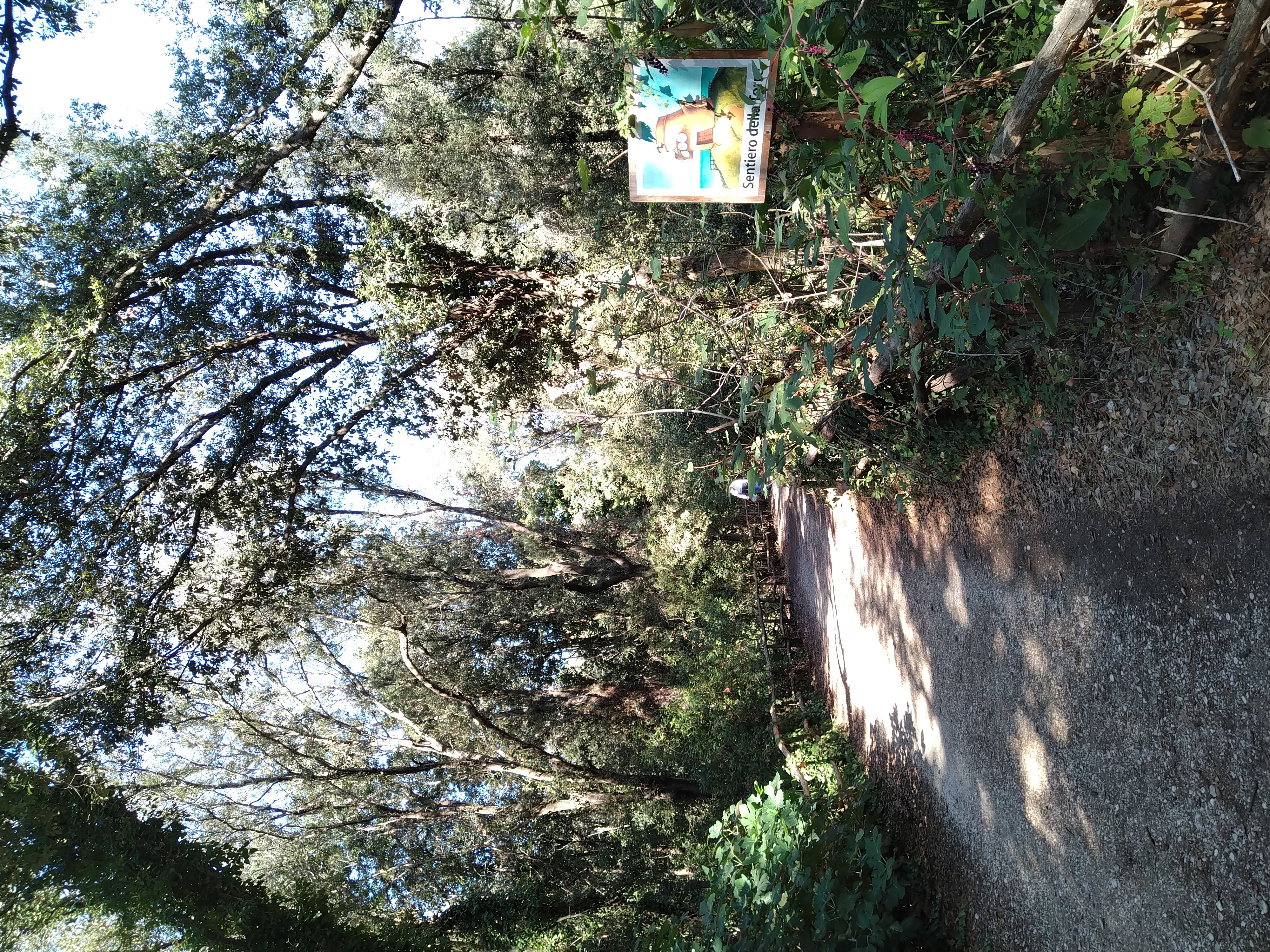 Tor Caldara Oasi WWF