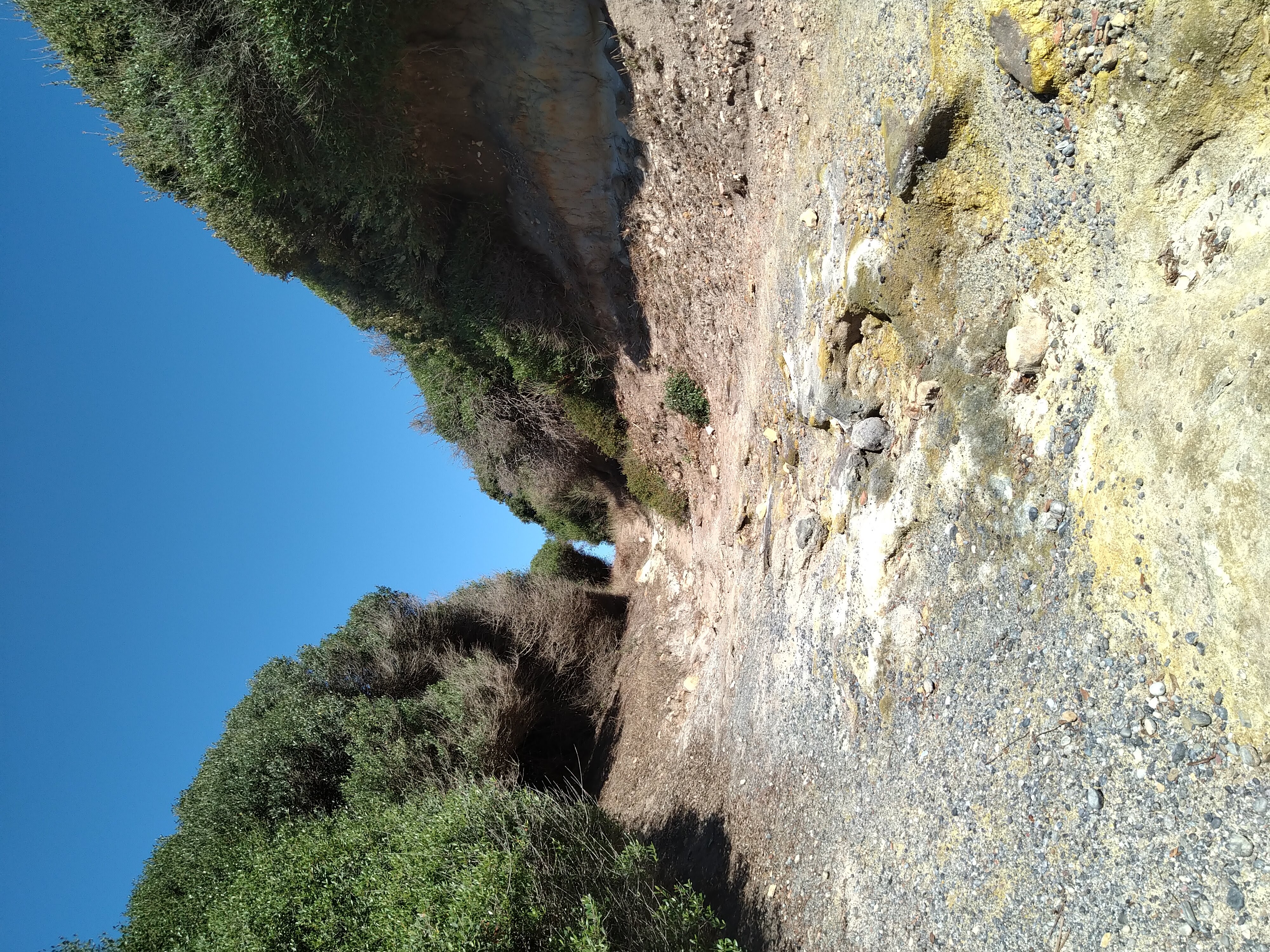 Tor Caldara Oasi WWF