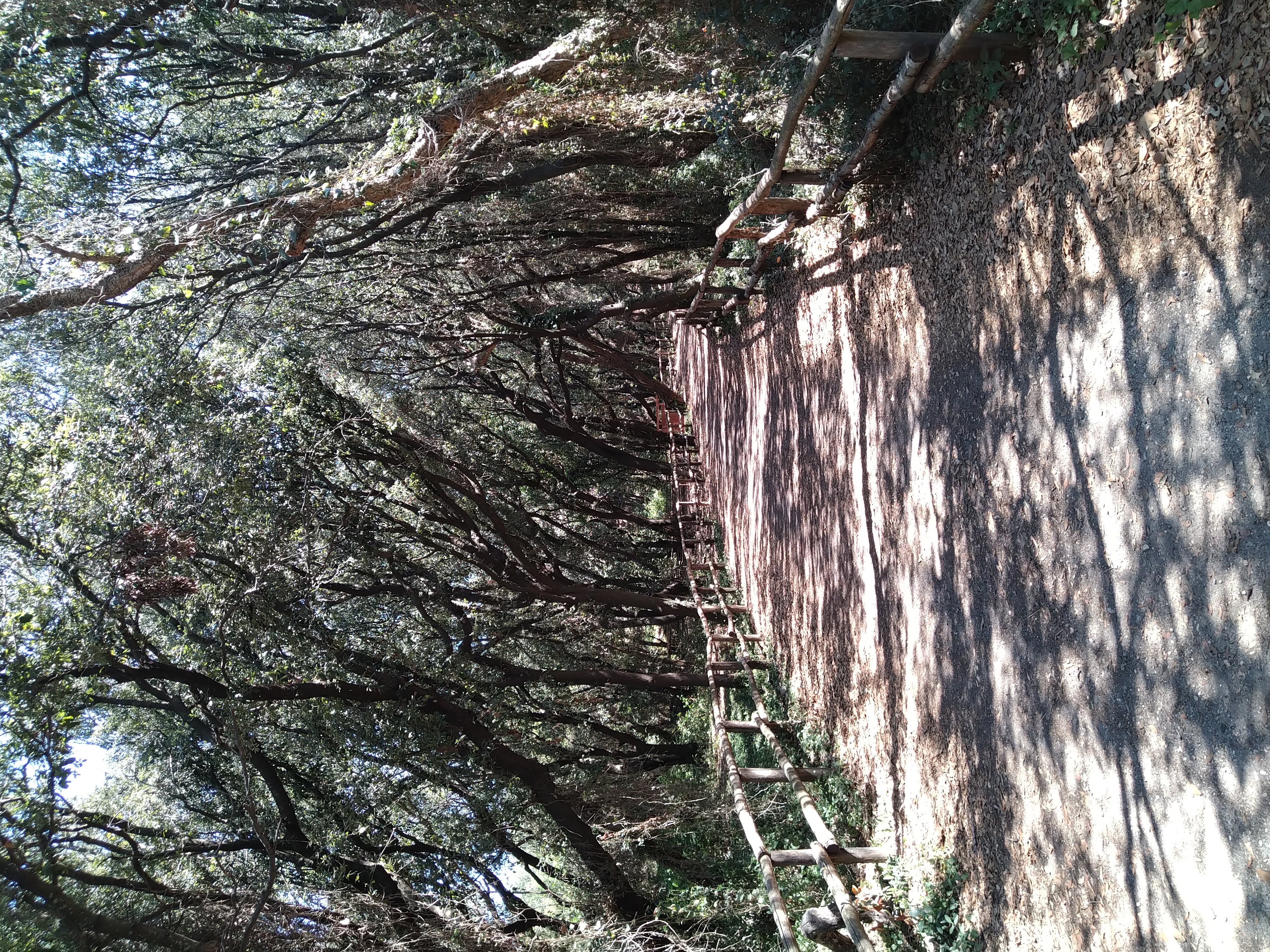 Tor Caldara Oasi WWF